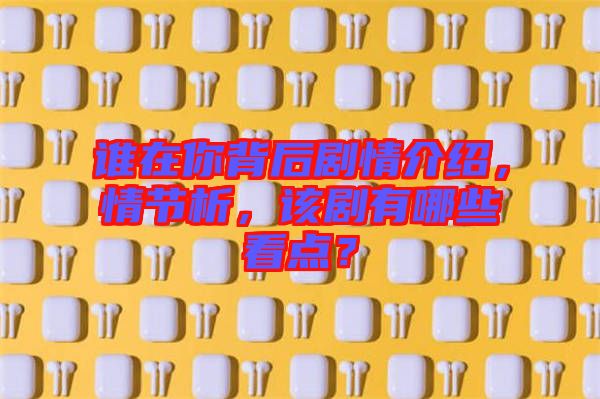 誰在你背后劇情介紹，情節(jié)析，該劇有哪些看點？