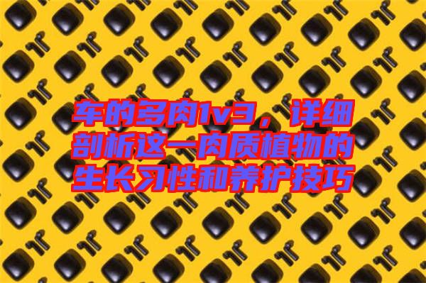 車的多肉1v3，詳細(xì)剖析這一肉質(zhì)植物的生長習(xí)性和養(yǎng)護(hù)技巧
