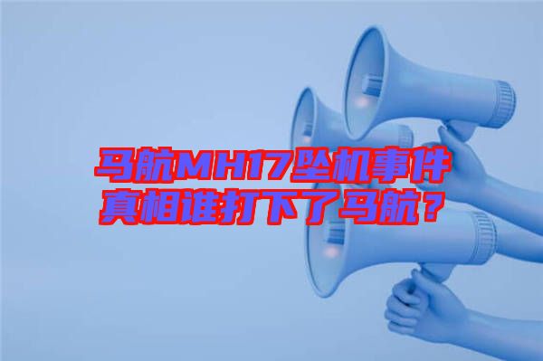 馬航MH17墜機(jī)事件真相誰打下了馬航？