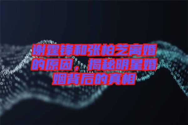 謝霆鋒和張柏芝離婚的原因，揭秘明星婚姻背后的真相