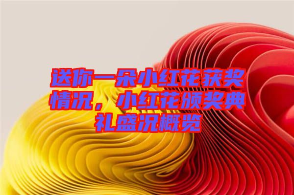 送你一朵小紅花獲獎情況，小紅花頒獎典禮盛況概覽