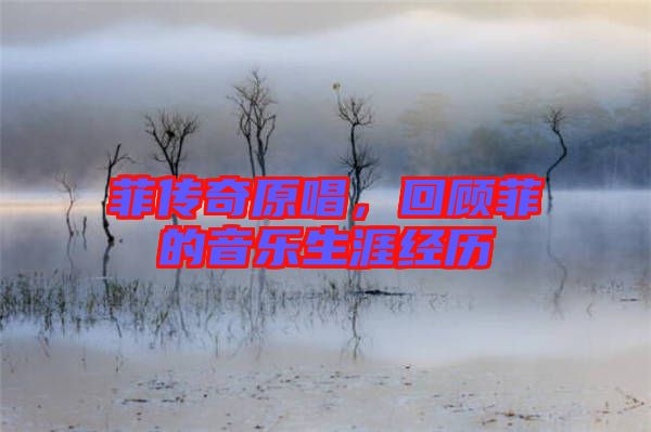 菲傳奇原唱，回顧菲的音樂生涯經(jīng)歷