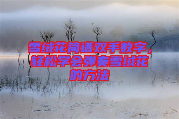 雪絨花簡譜雙手?jǐn)?shù)字，輕松學(xué)會彈奏雪絨花的方法