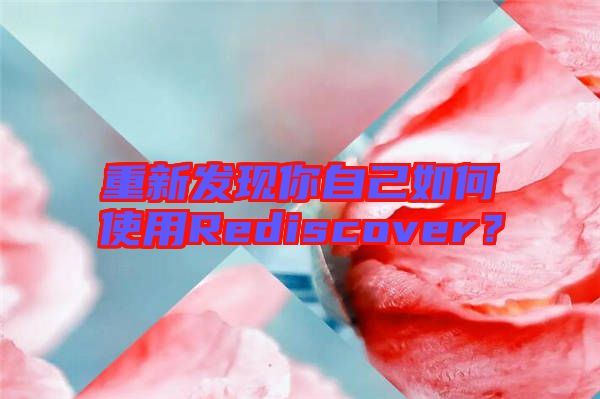 重新發(fā)現(xiàn)你自己如何使用Rediscover？