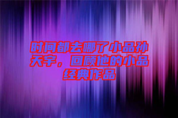 時間都去哪了小品孫天宇，回顧他的小品經(jīng)典作品