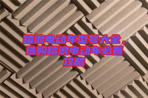 踏浪電動(dòng)車型號(hào)大全，選購(gòu)踏浪電動(dòng)車必看攻略