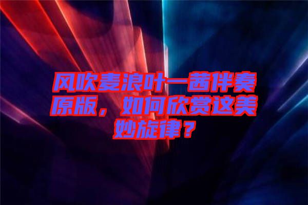 風(fēng)吹麥浪葉一茜伴奏原版，如何欣賞這美妙旋律？