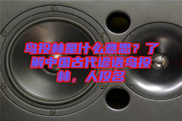 鳥(niǎo)投林是什么意思？了解中國(guó)古代諺語(yǔ)鳥(niǎo)投林，人投名