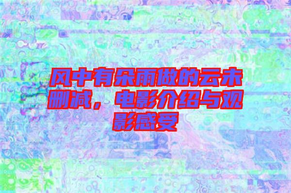風(fēng)中有朵雨做的云未刪減，電影介紹與觀影感受