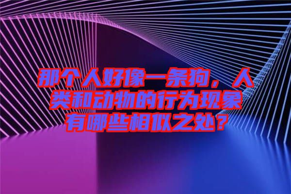 那個(gè)人好像一條狗，人類和動(dòng)物的行為現(xiàn)象有哪些相似之處？