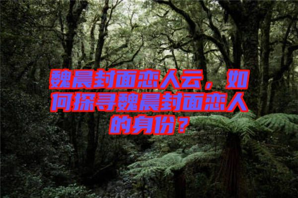 魏晨封面戀人云，如何探尋魏晨封面戀人的身份？