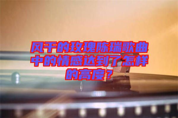風干的玫瑰陳瑞歌曲中的情感達到了怎樣的高度？
