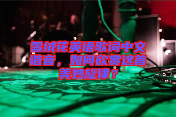 雪絨花英語歌詞中文諧音，如何欣賞這首美妙旋律？