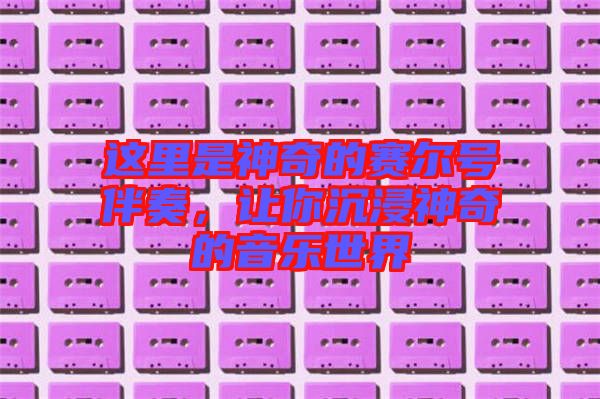 這里是神奇的賽爾號伴奏，讓你沉浸神奇的音樂世界