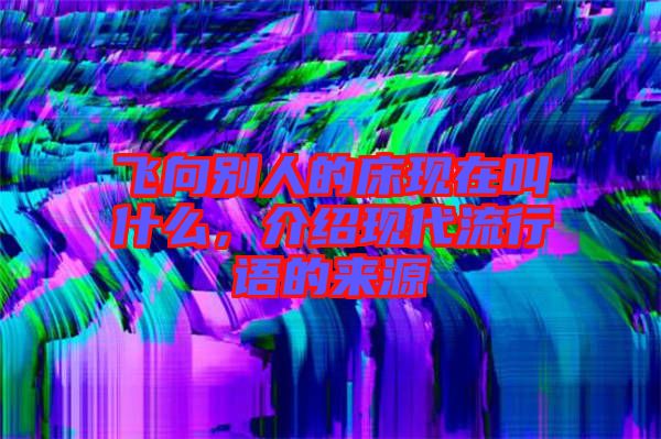 飛向別人的床現(xiàn)在叫什么，介紹現(xiàn)代流行語的來源