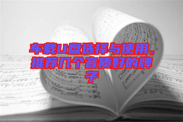 車載U盤選擇與使用，推薦幾個音質(zhì)好的牌子