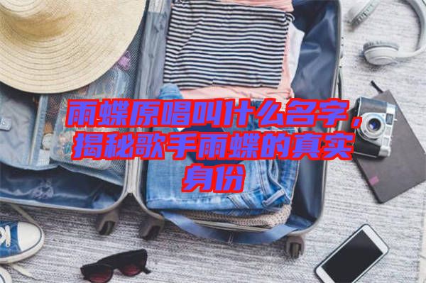 雨蝶原唱叫什么名字，揭秘歌手雨蝶的真實(shí)身份