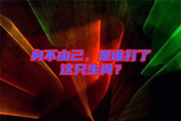 身不由己，是誰(shuí)打了這只生肖？