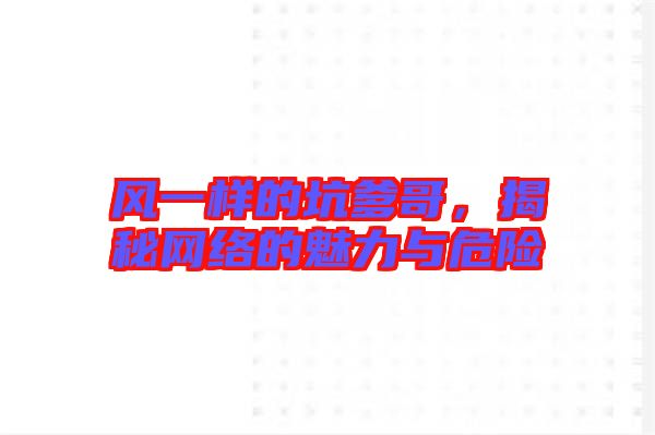 風(fēng)一樣的坑爹哥，揭秘網(wǎng)絡(luò)的魅力與危險