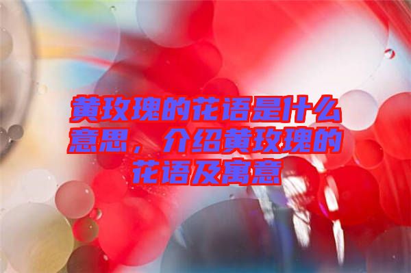 黃玫瑰的花語是什么意思，介紹黃玫瑰的花語及寓意