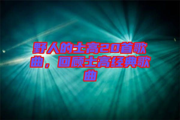 野人的士高20首歌曲，回顧士高經(jīng)典歌曲