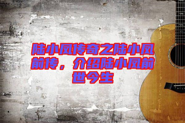 陸小鳳傳奇之陸小鳳前傳，介紹陸小鳳前世今生