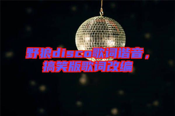 野狼disco歌詞諧音，搞笑版歌詞改編