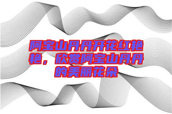 阿寶山丹丹開花紅艷艷，欣賞阿寶山丹丹的美麗花朵