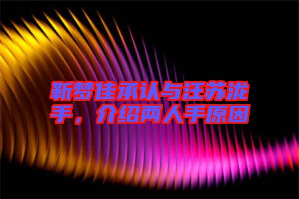 靳夢(mèng)佳承認(rèn)與汪蘇瀧手，介紹兩人手原因