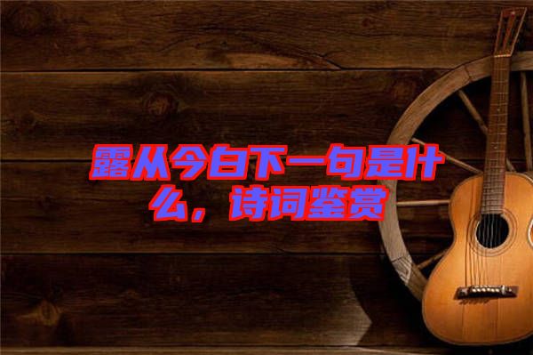 露從今白下一句是什么，詩詞鑒賞