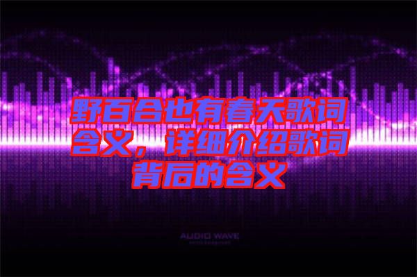野百合也有春天歌詞含義，詳細(xì)介紹歌詞背后的含義
